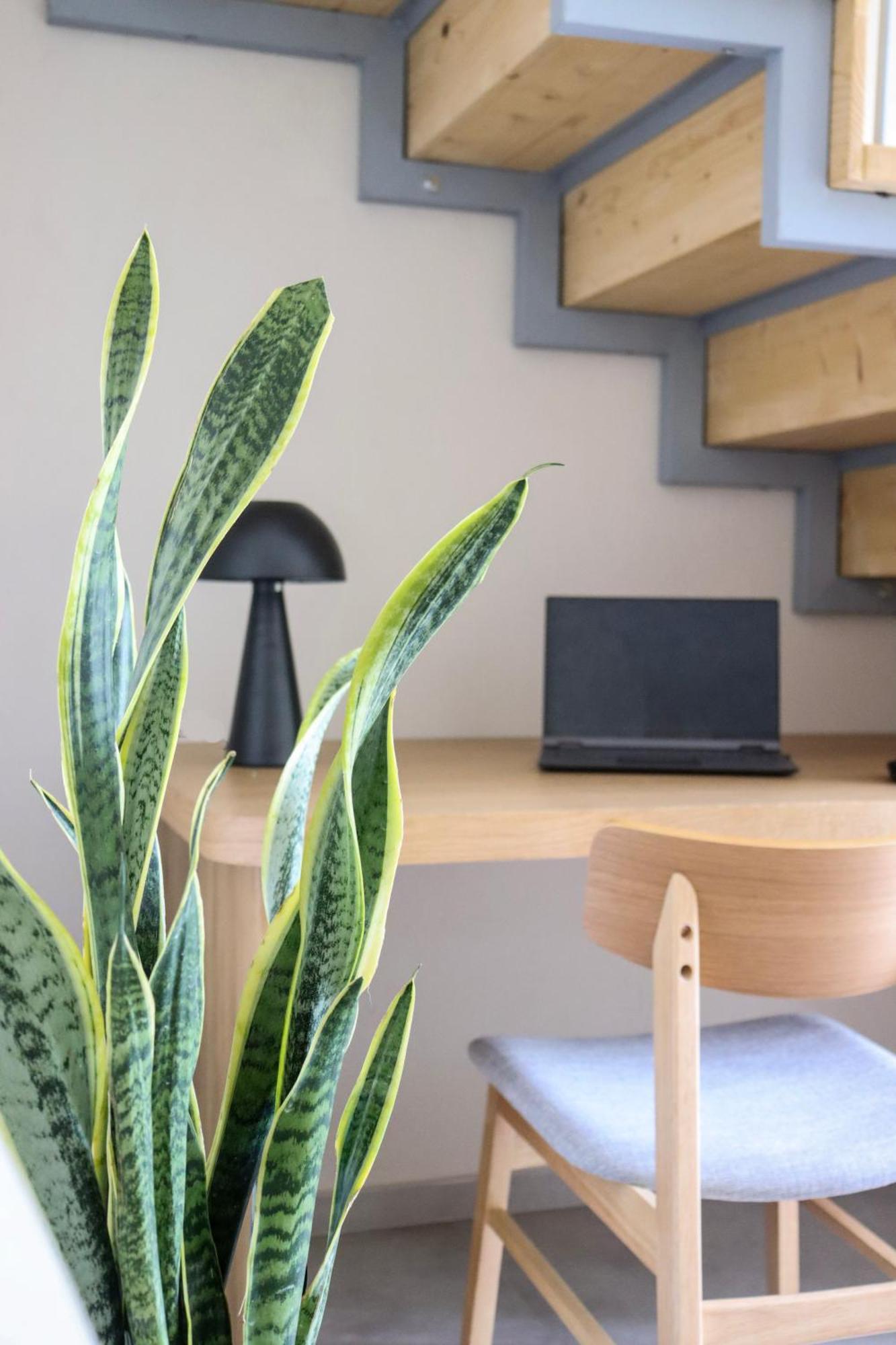 Apartment Vabel